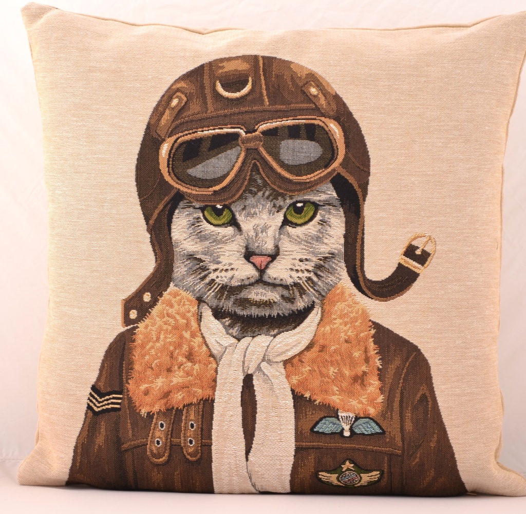 Aviator Cat Cushion Case