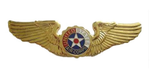 [37231  Brittany] Badge US Army Air Corps