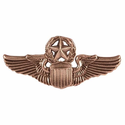 [17212 BRITTANY] Badge US Command Pilot