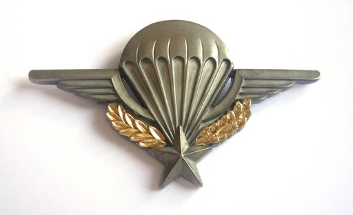 [12055 Brittany] Official Para Certificate Badge